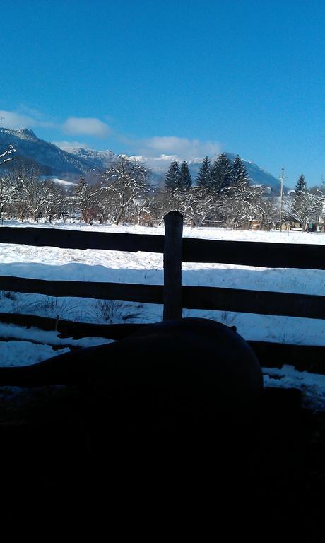 Serena Guesthouse Bran Bran  Bagian luar foto
