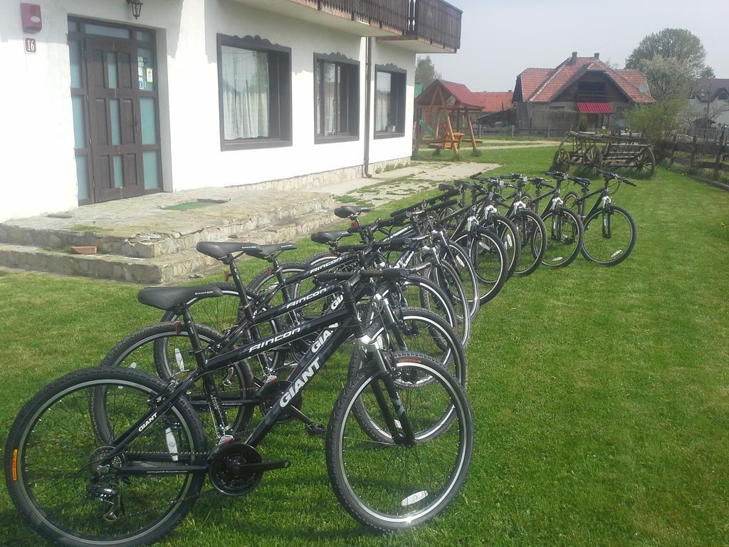 Serena Guesthouse Bran Bran  Bagian luar foto