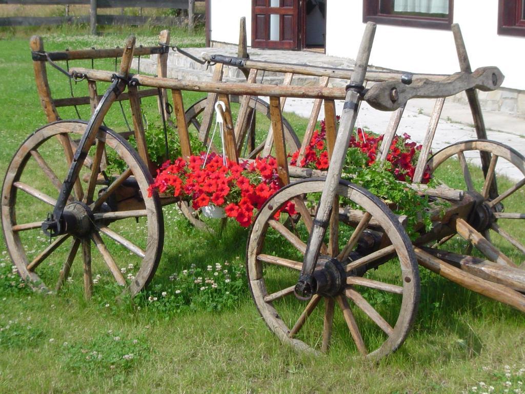 Serena Guesthouse Bran Bran  Bagian luar foto