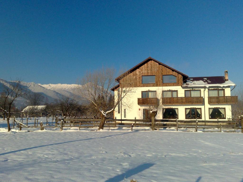Serena Guesthouse Bran Bran  Bagian luar foto